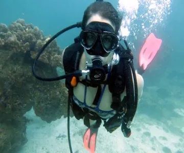 Scuba diving in Dibba Al-Fujairah